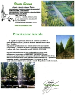 Scarica il nostro curriculum